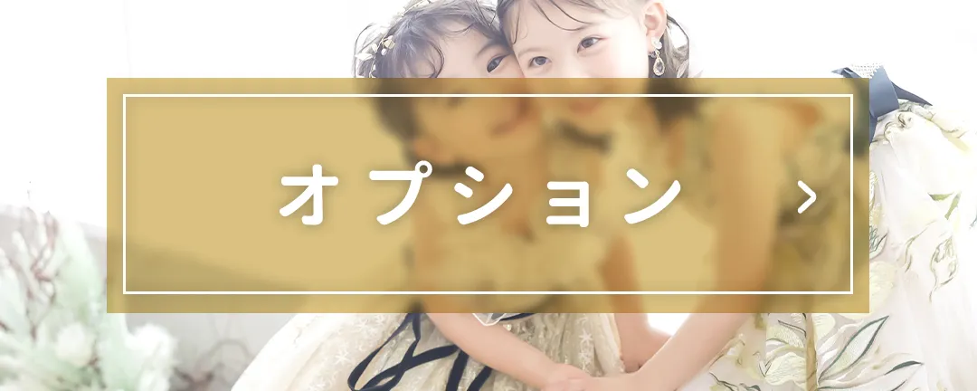 オプション