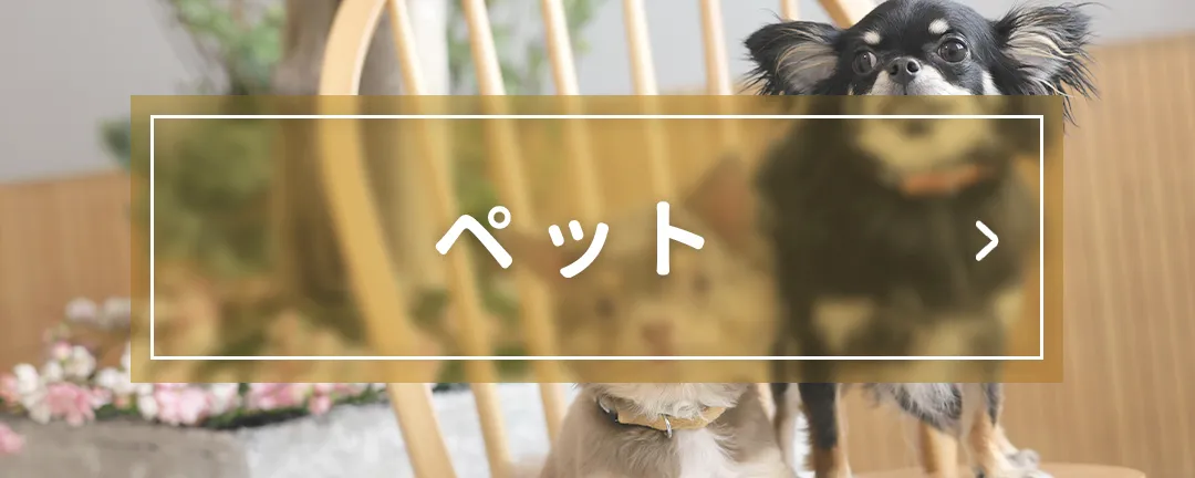 ペットメニュー