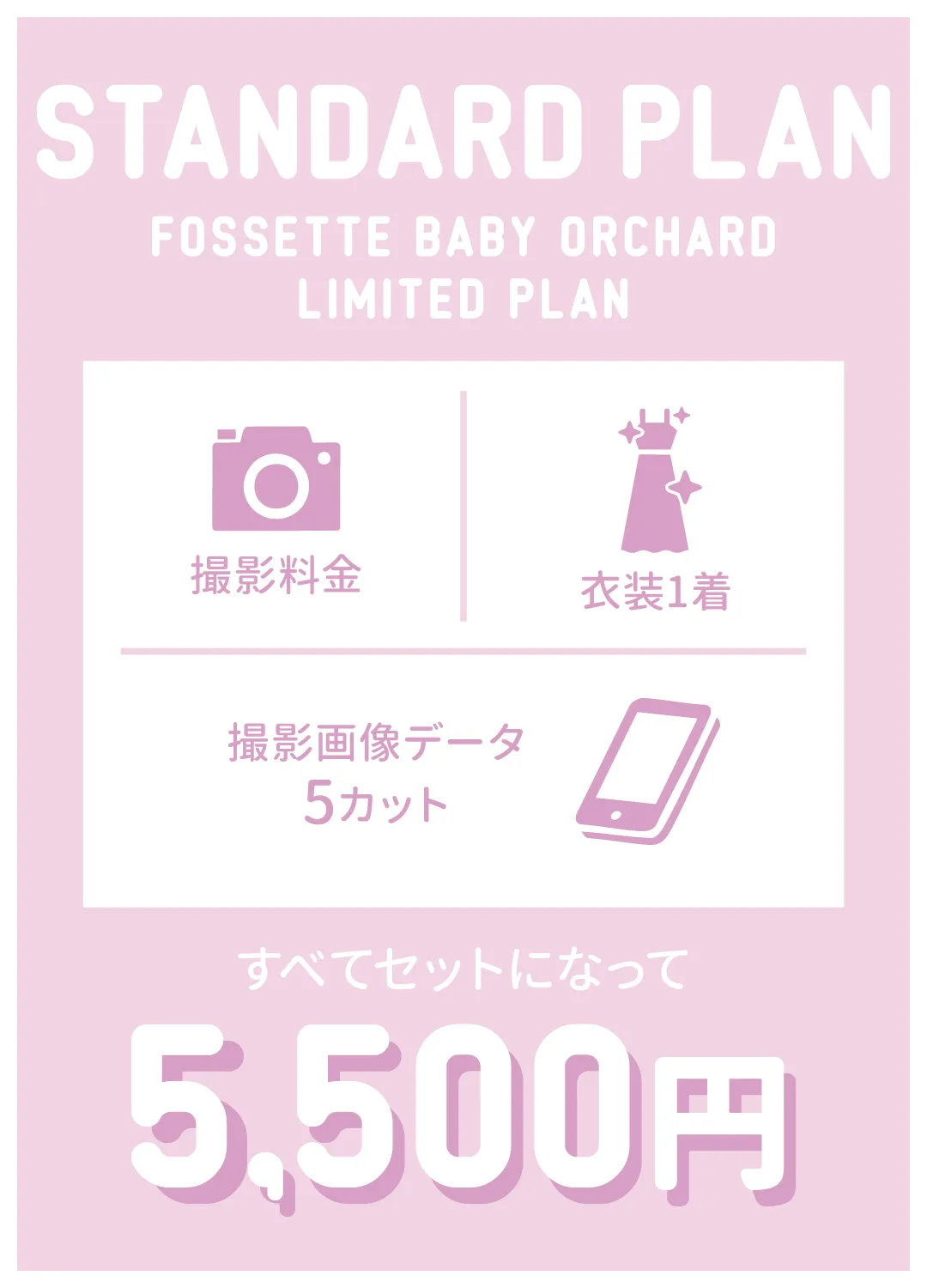 スタンダ―ドプラン