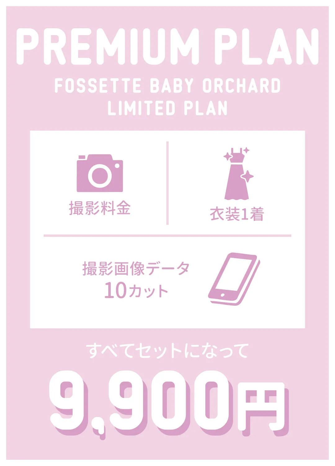 プレミアムプラン