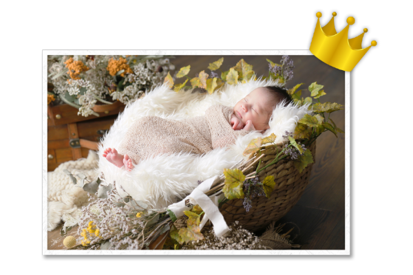 フォトコンテスト 22年3月のグランプリ作品発表 お知らせ 広島 岡山 熊本 福岡の写真館フォセット フォトコンテスト 22年3月のグランプリ作品発表 お知らせ 広島 岡山 熊本 福岡の写真館フォセット